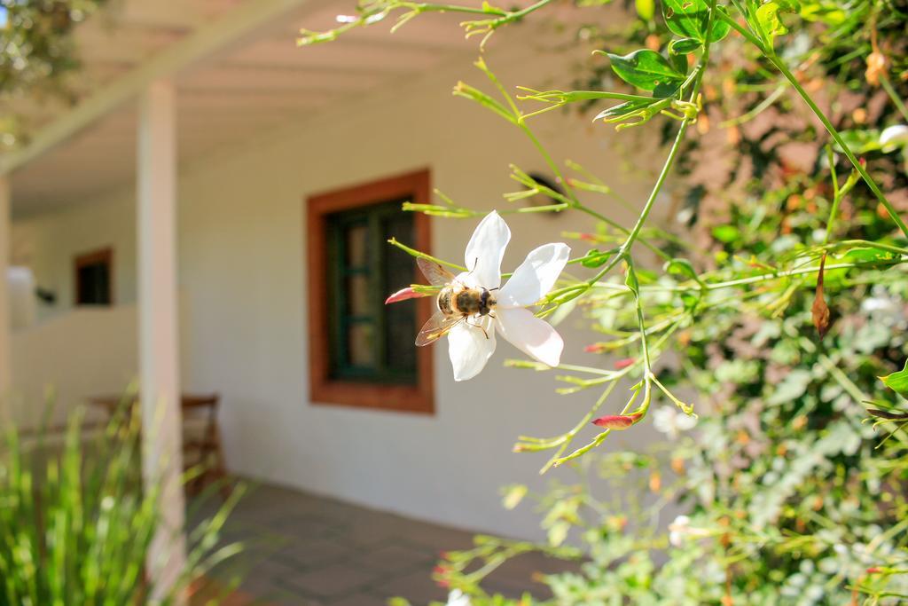 Fazendinha - - Spacious And Tranquil Gasthof