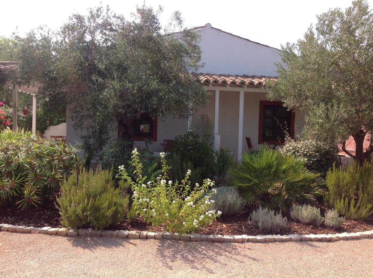 Fazendinha - - Spacious And Tranquil