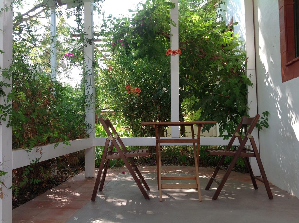 Fazendinha - - Spacious And Tranquil