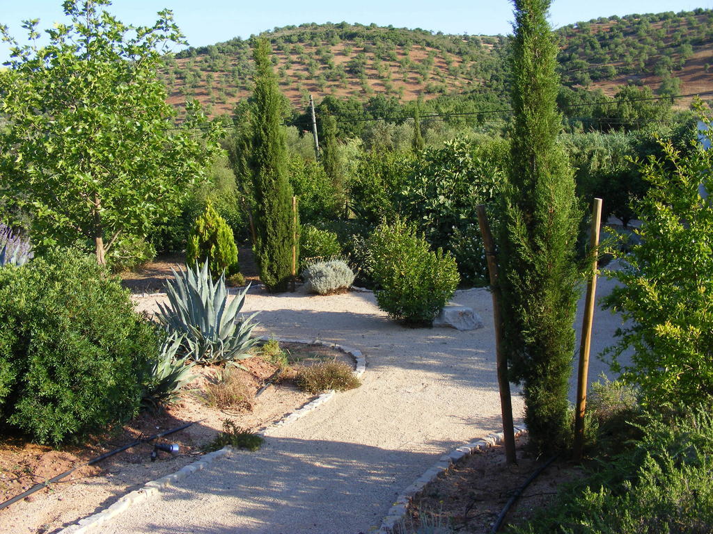 Pensjonat Fazendinha - - Spacious And Tranquil 3*