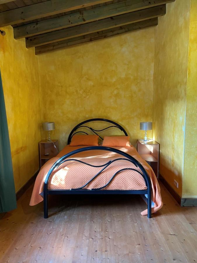 Fazendinha - - Spacious And Tranquil